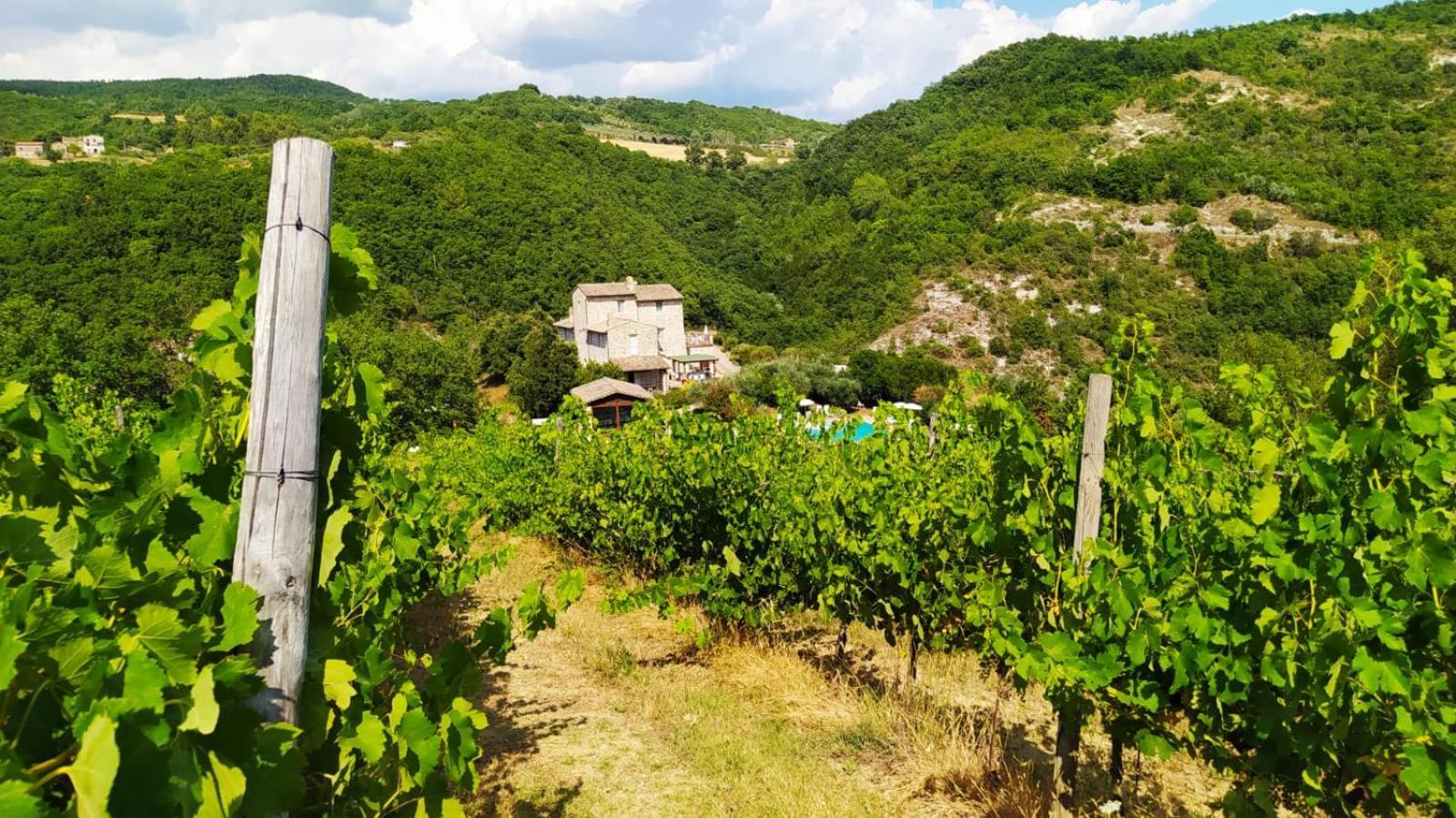 Re Artu Assisi Country Lifestyleアパートホテル エクステリア 写真