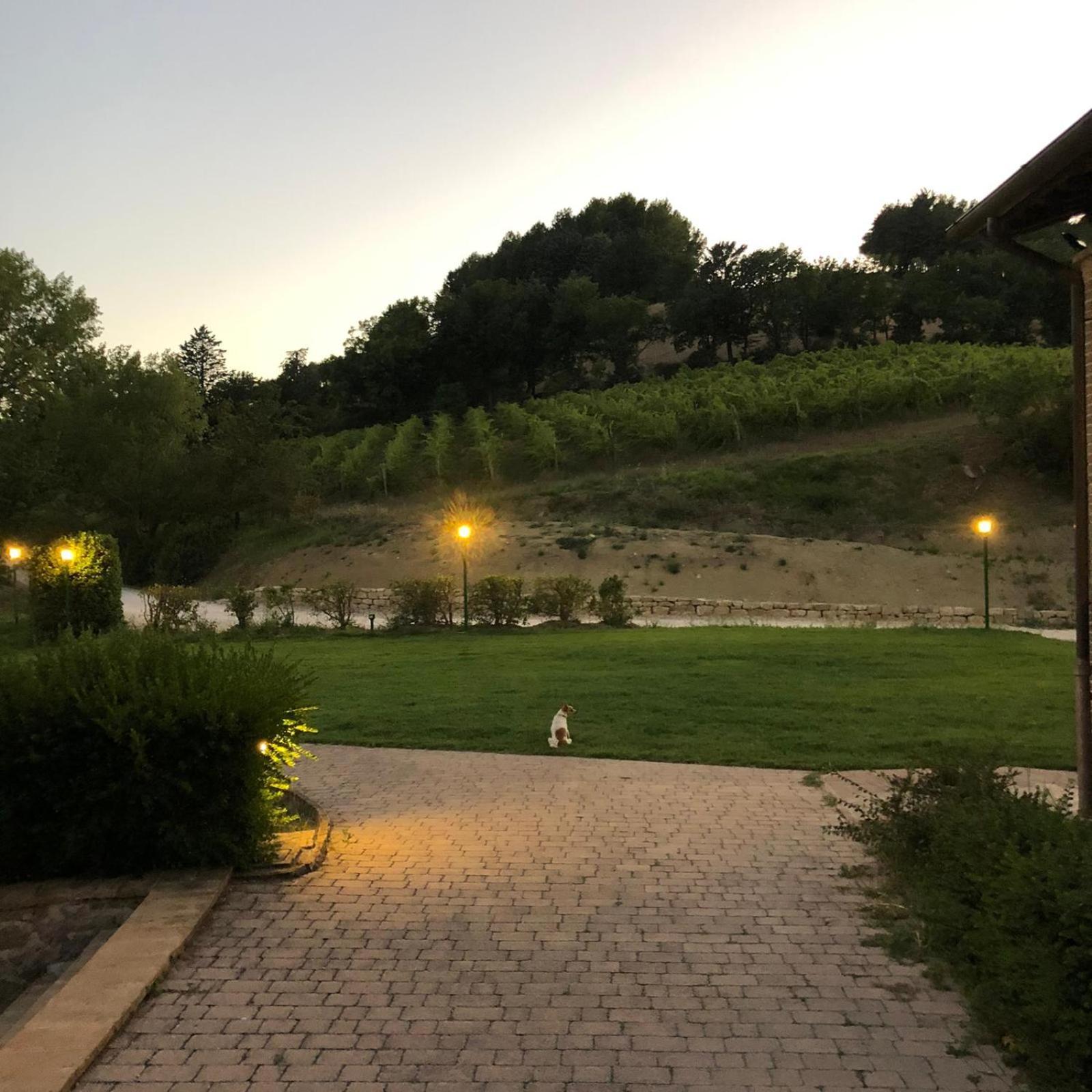 Re Artu Assisi Country Lifestyleアパートホテル エクステリア 写真